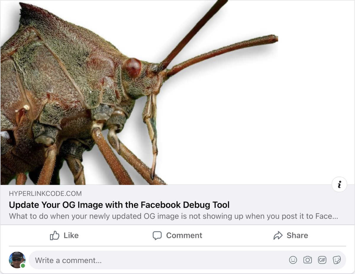 Facebook Debug Tool Post in FB News Feed